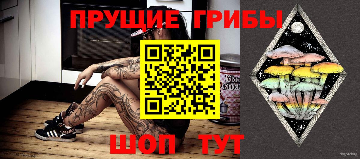 Псилоцибиновые грибы GOLDEN TEACHER Назрань