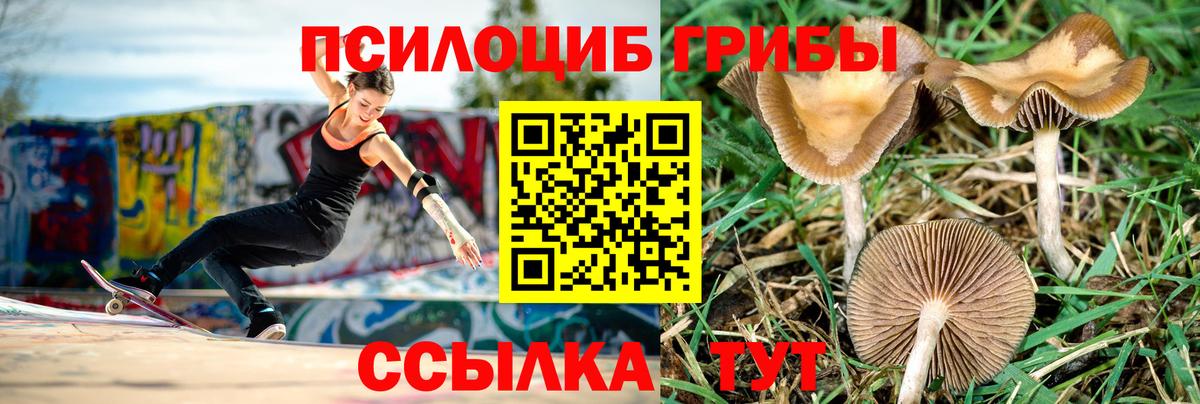 Назрань  Псилоцибиновые грибы MAGIC MUSHROOMS  Вход с VPN  Галлюциногенные грибы GOLDEN TEACHER 