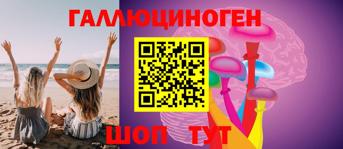 Псилоцибиновые грибы Psilocybine cubensis  Назрань  Галлюциногенные грибы Psilocybe 